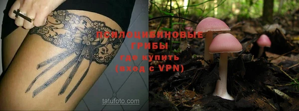 jwh Абаза