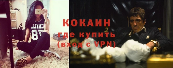 тгк Алзамай