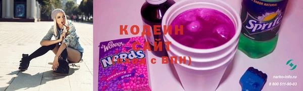 крисы Каменка