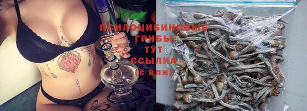 apvp Абинск