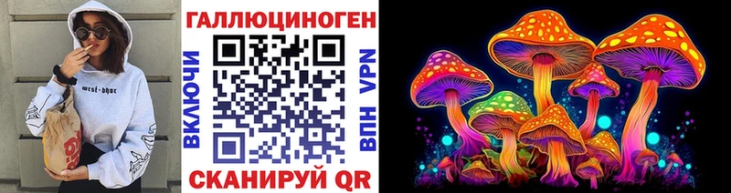omg рабочий сайт  Тверь  Псилоцибиновые грибы мицелий 